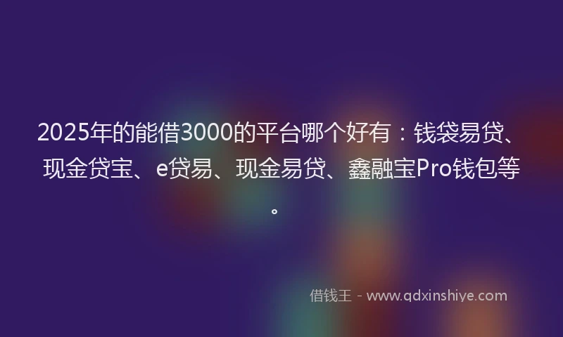 2025年的能借3000的平台哪个好有：钱袋易贷、现金贷宝、e贷易、现金易贷、鑫融宝Pro钱包等。
