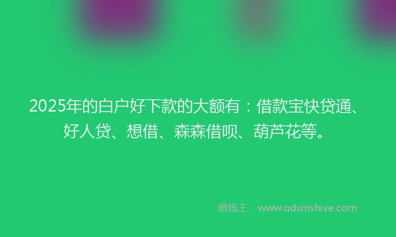 2025年的白户好下款的大额有：借款宝快贷通、好人贷、想借、森森借呗、葫芦花等。