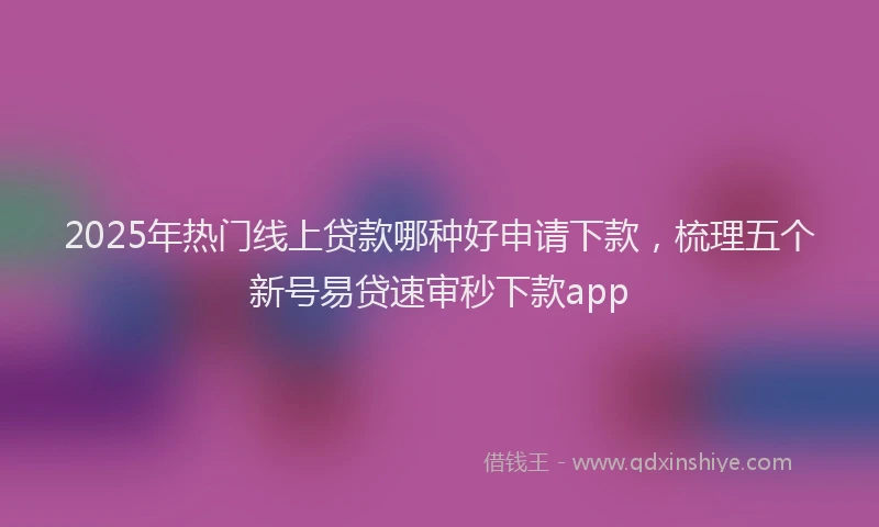 2025年热门线上贷款哪种好申请下款，梳理五个新号易贷速审秒下款app
