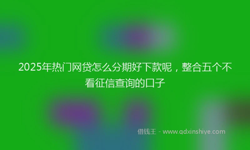 2025年热门网贷怎么分期好下款呢,整合五个不看征信查询的口子
