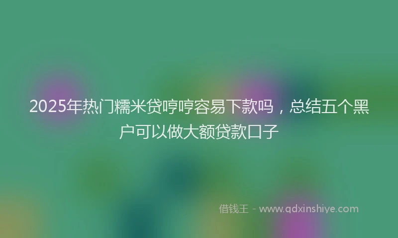 2025年热门糯米贷哼哼容易下款吗，总结五个黑户可以做大额贷款口子