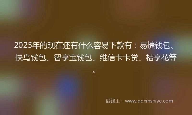 2025年的现在还有什么容易下款有：易捷钱包、快鸟钱包、智享宝钱包、维信卡卡贷、桔享花等。