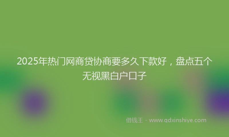 2025年热门网商贷协商要多久下款好，盘点五个无视黑白户口子