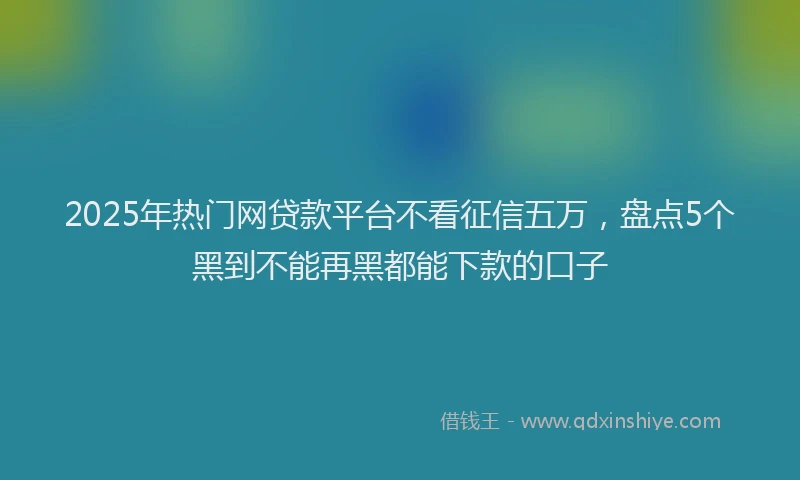 2025年热门网贷款平台不看征信五万，盘点5个黑到不能再黑都能下款的口子