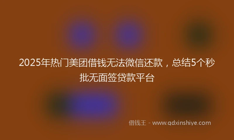 2025年热门美团借钱无法微信还款，总结5个秒批无面签贷款平台