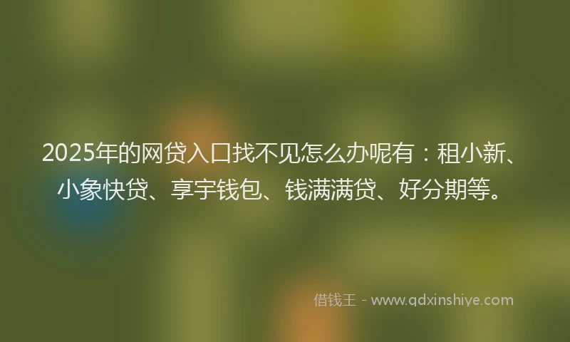 2025年的网贷入口找不见怎么办呢有：租小新、小象快贷、享宇钱包、钱满满贷、好分期等。