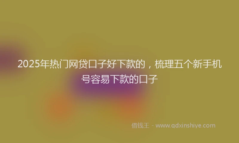 2025年热门网贷口子好下款的，梳理五个新手机号容易下款的口子