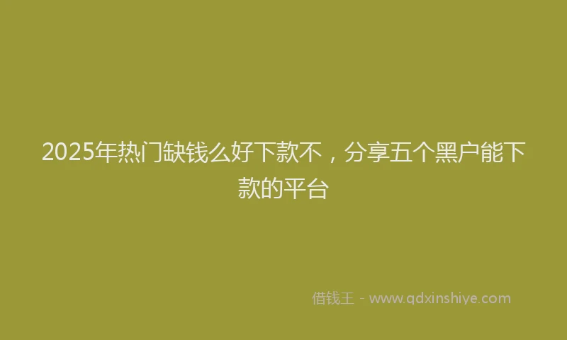 2025年热门缺钱么好下款不，分享五个黑户能下款的平台
