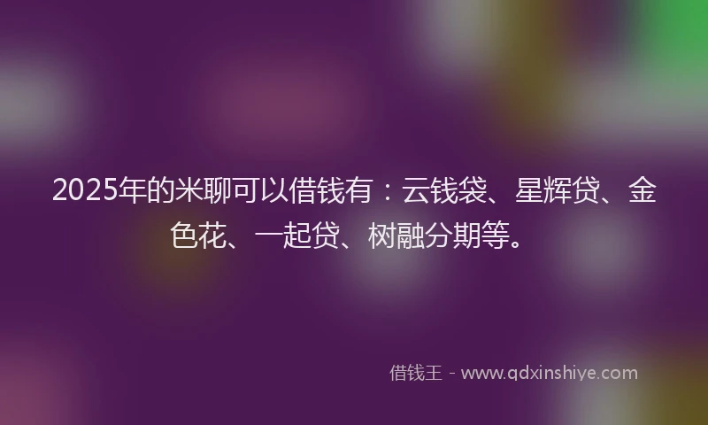 2025年的米聊可以借钱有：云钱袋、星辉贷、金色花、一起贷、树融分期等。