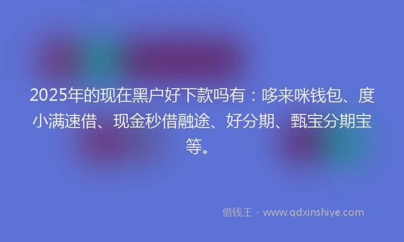 2025年的现在黑户好下款吗有:哆来咪钱包、度小满速借、现金秒借融途、好分期、甄宝分期宝等。