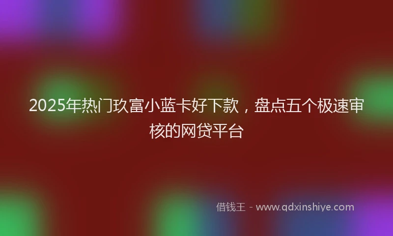 2025年热门玖富小蓝卡好下款，盘点五个极速审核的网贷平台