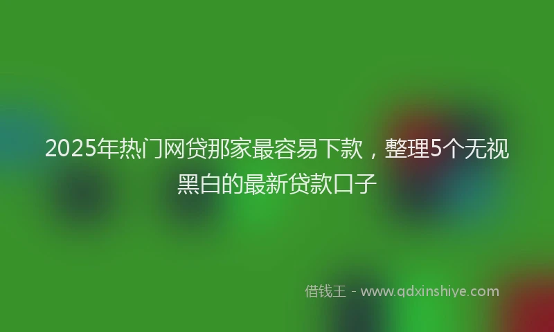 2025年热门网贷那家最容易下款，整理5个无视黑白的最新贷款口子