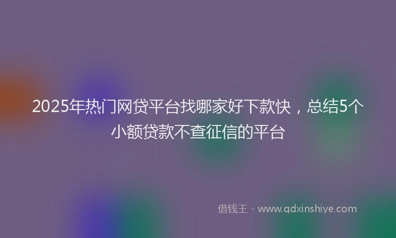 2025年热门网贷平台找哪家好下款快，总结5个小额贷款不查征信的平台