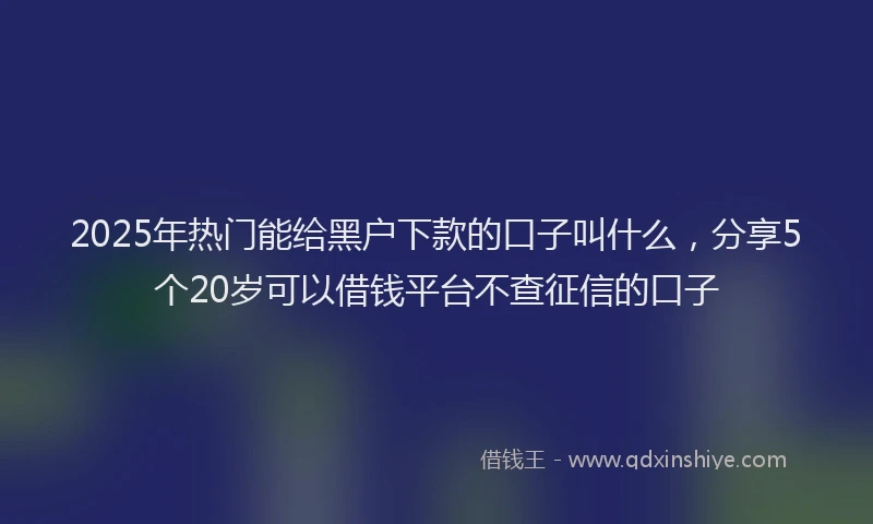 2025年热门能给黑户下款的口子叫什么,分享5个20岁可以借钱平台不查征信的口子