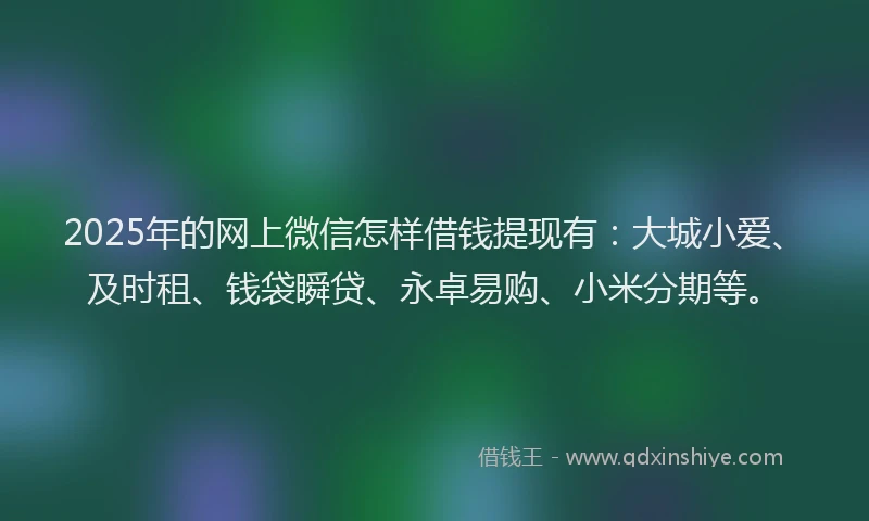 2025年的网上微信怎样借钱提现有：大城小爱、及时租、钱袋瞬贷、永卓易购、小米分期等。