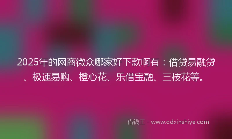 2025年的网商微众哪家好下款啊有：借贷易融贷、极速易购、橙心花、乐借宝融、三枝花等。