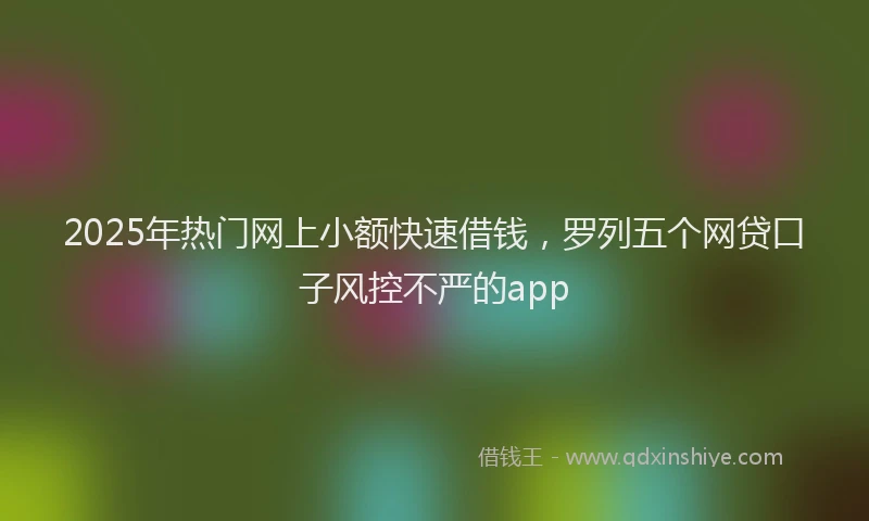 2025年热门网上小额快速借钱，罗列五个网贷口子风控不严的app