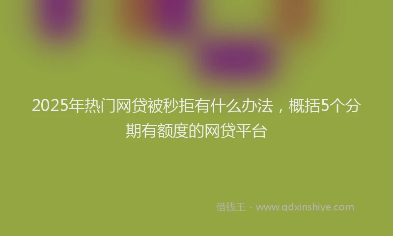 2025年热门网贷被秒拒有什么办法，概括5个分期有额度的网贷平台