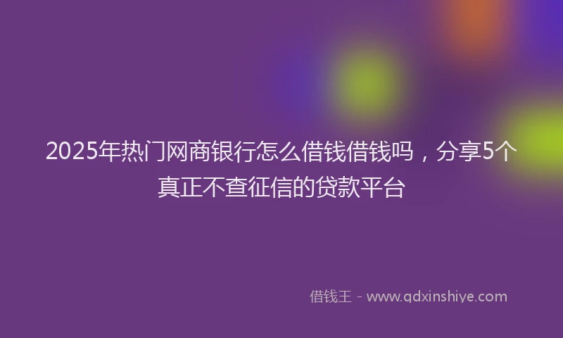 2025年热门网商银行怎么借钱借钱吗，分享5个真正不查征信的贷款平台