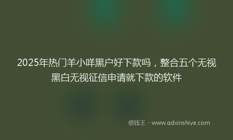 2025年热门羊小咩黑户好下款吗，整合五个无视黑白无视征信申请就下款的软件