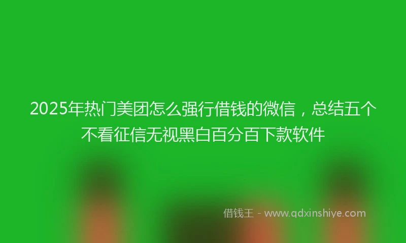 2025年热门美团怎么强行借钱的微信，总结五个不看征信无视黑白百分百下款软件