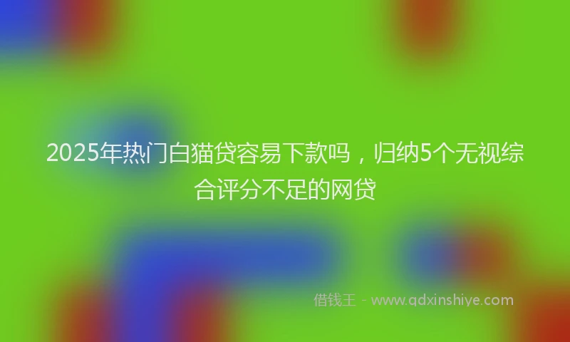 2025年热门白猫贷容易下款吗，归纳5个无视综合评分不足的网贷