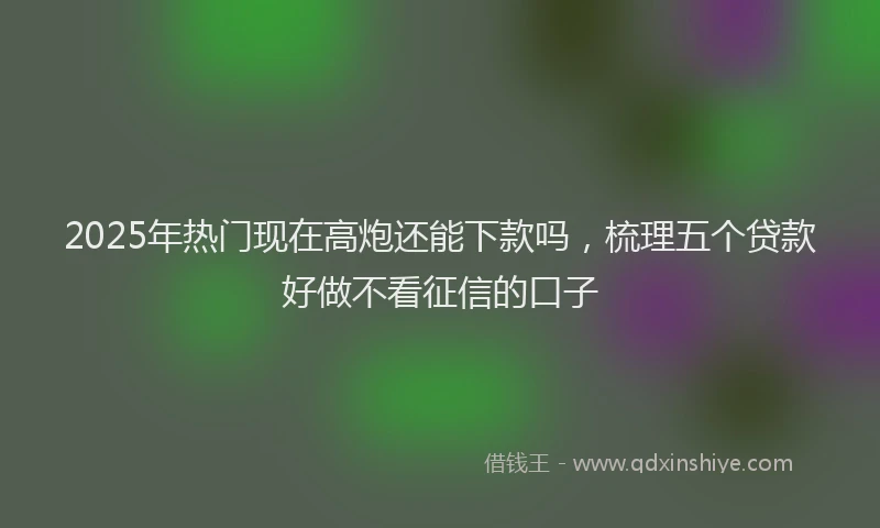 2025年热门现在高炮还能下款吗，梳理五个贷款好做不看征信的口子