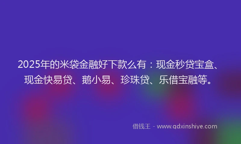 2025年的米袋金融好下款么有：现金秒贷宝盒、现金快易贷、鹅小易、珍珠贷、乐借宝融等。