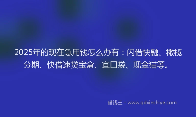 2025年的现在急用钱怎么办有：闪借快融、橄榄分期、快借速贷宝盒、宜口袋、现金猫等。