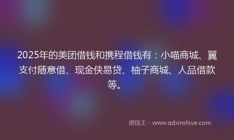 2025年的美团借钱和携程借钱有:小喵商城、翼支付随意借、现金侠易贷、柚子商城、人品借款等。
