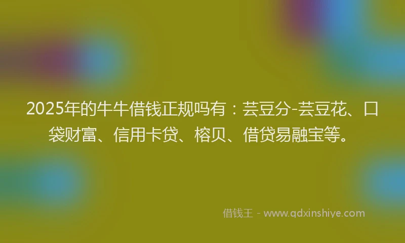 2025年的牛牛借钱正规吗有：芸豆分-芸豆花、口袋财富、信用卡贷、榕贝、借贷易融宝等。