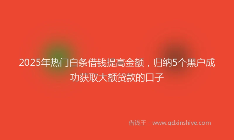 2025年热门白条借钱提高金额，归纳5个黑户成功获取大额贷款的口子