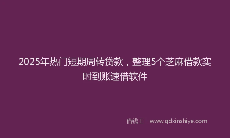2025年热门短期周转贷款，整理5个芝麻借款实时到账速借软件