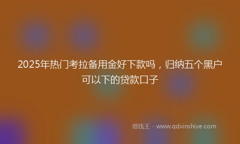 2025年热门考拉备用金好下款吗，归纳五个黑户可以下的贷款口子