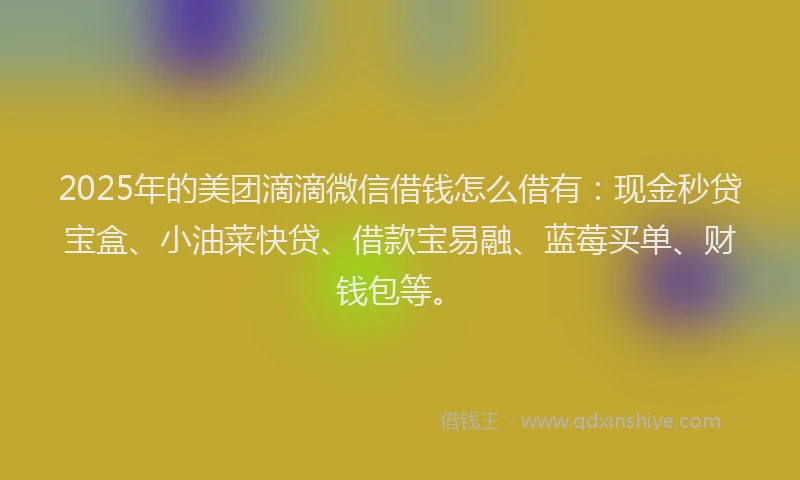 2025年的美团滴滴微信借钱怎么借有：现金秒贷宝盒、小油菜快贷、借款宝易融、蓝莓买单、财钱包等。