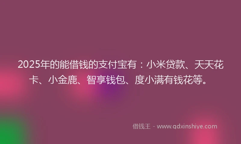 2025年的能借钱的支付宝有：小米贷款、天天花卡、小金鹿、智享钱包、度小满有钱花等。