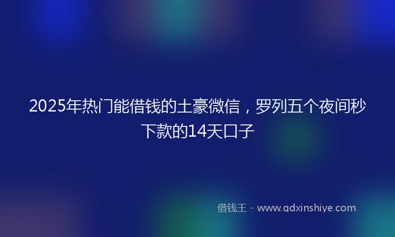 2025年热门能借钱的土豪微信,罗列五个夜间秒下款的14天口子
