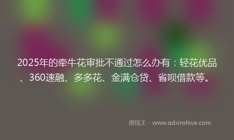 2025年的牵牛花审批不通过怎么办有：轻花优品、360速融、多多花、金满仓贷、省呗借款等。