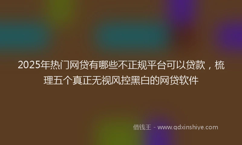 2025年热门网贷有哪些不正规平台可以贷款，梳理五个真正无视风控黑白的网贷软件