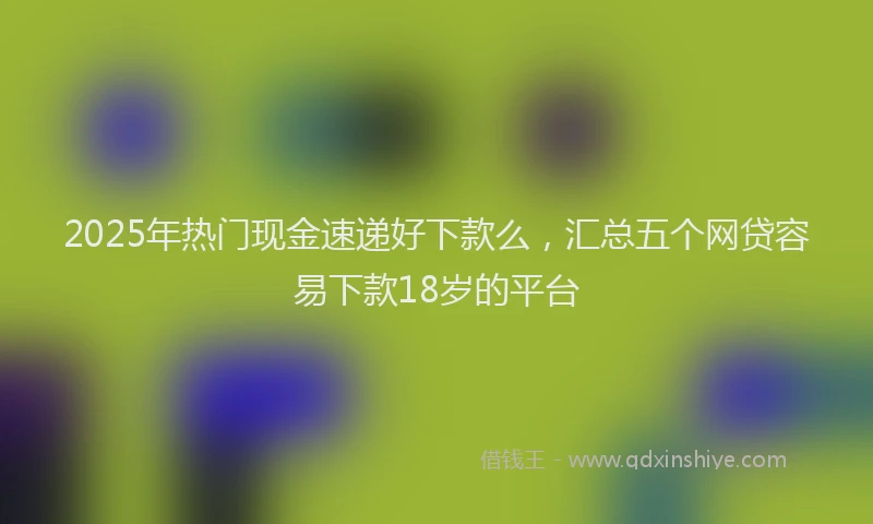 2025年热门现金速递好下款么，汇总五个网贷容易下款18岁的平台