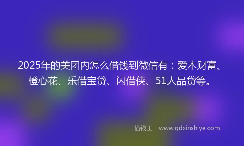 2025年的美团内怎么借钱到微信有:爱木财富、橙心花、乐借宝贷、闪借侠、51人品贷等。