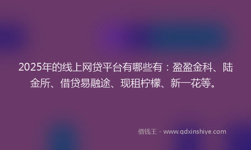 2025年的线上网贷平台有哪些有：盈盈金科、陆金所、借贷易融途、现租柠檬、新一花等。