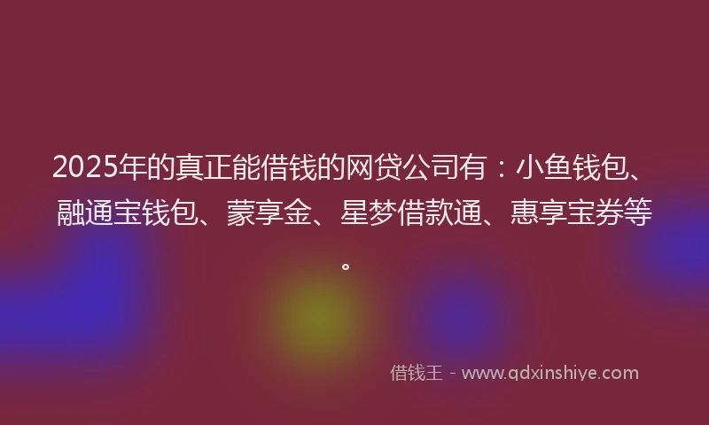 2025年的真正能借钱的网贷公司有：小鱼钱包、融通宝钱包、蒙享金、星梦借款通、惠享宝券等。