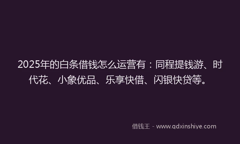 2025年的白条借钱怎么运营有：同程提钱游、时代花、小象优品、乐享快借、闪银快贷等。