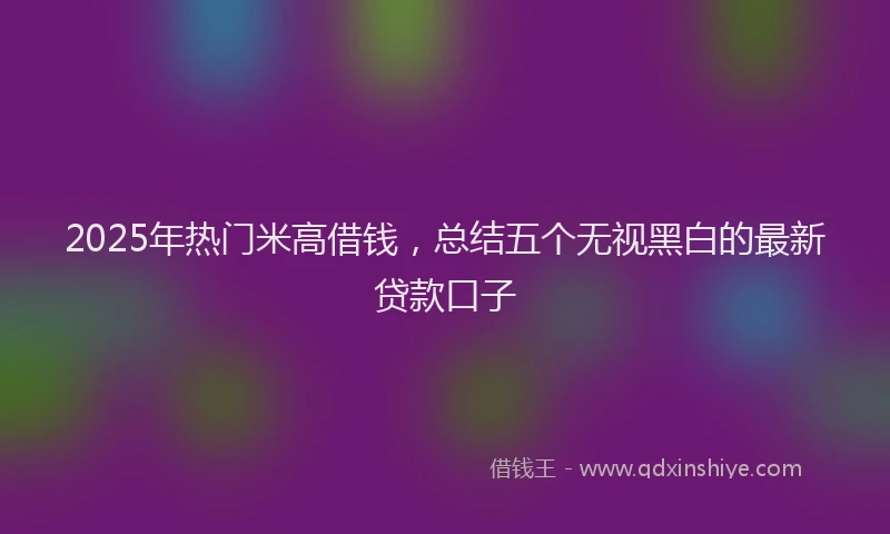 2025年热门米高借钱，总结五个无视黑白的最新贷款口子