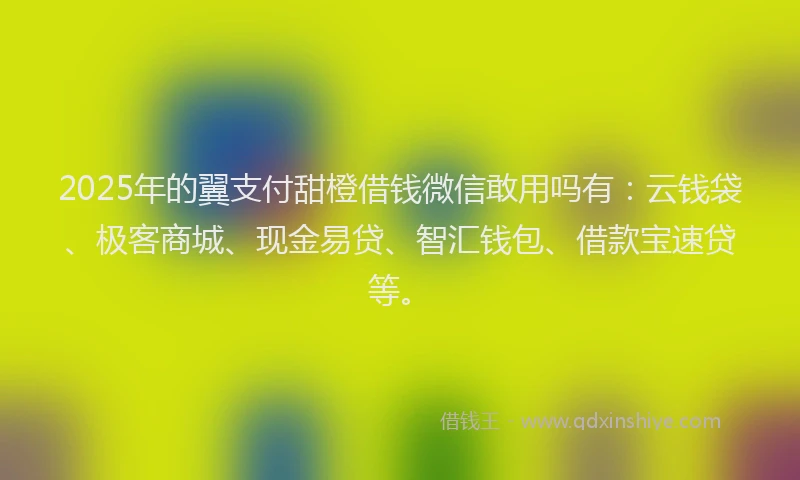 2025年的翼支付甜橙借钱微信敢用吗有:云钱袋、极客商城、现金易贷、智汇钱包、借款宝速贷等。