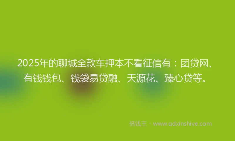 2025年的聊城全款车押本不看征信有：团贷网、有钱钱包、钱袋易贷融、天源花、臻心贷等。