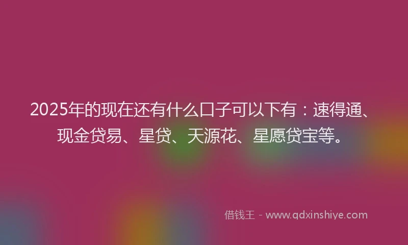 2025年的现在还有什么口子可以下有：速得通、现金贷易、星贷、天源花、星愿贷宝等。