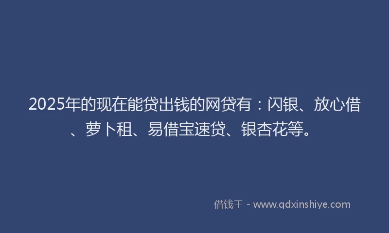 2025年的现在能贷出钱的网贷有：闪银、放心借、萝卜租、易借宝速贷、银杏花等。