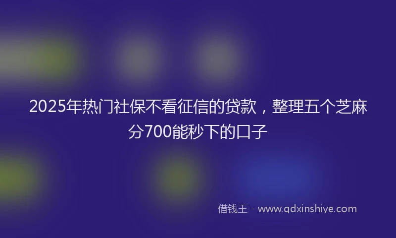 2025年热门社保不看征信的贷款，整理五个芝麻分700能秒下的口子